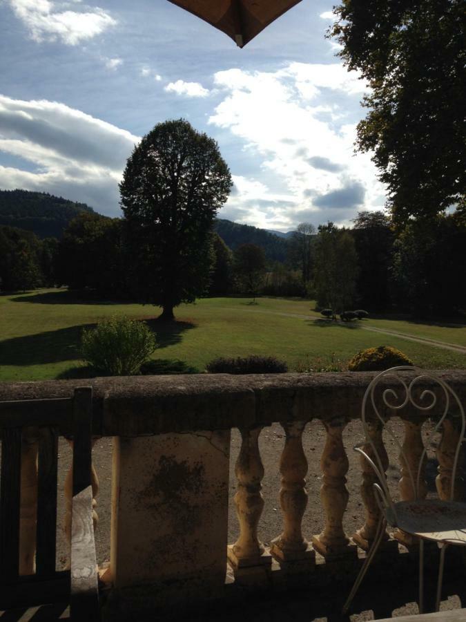 Chateau Du Val Larbont Panzió La Bastide-de-Sérou Kültér fotó